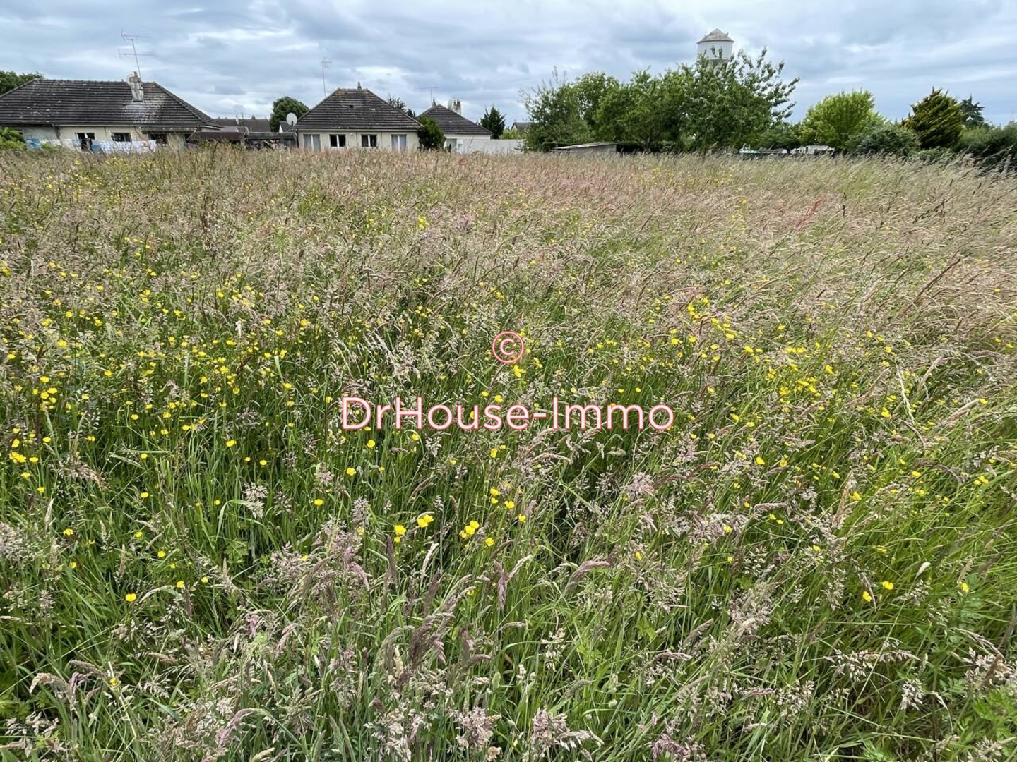 Terrain de 1 300 m² - Lorris (45260)