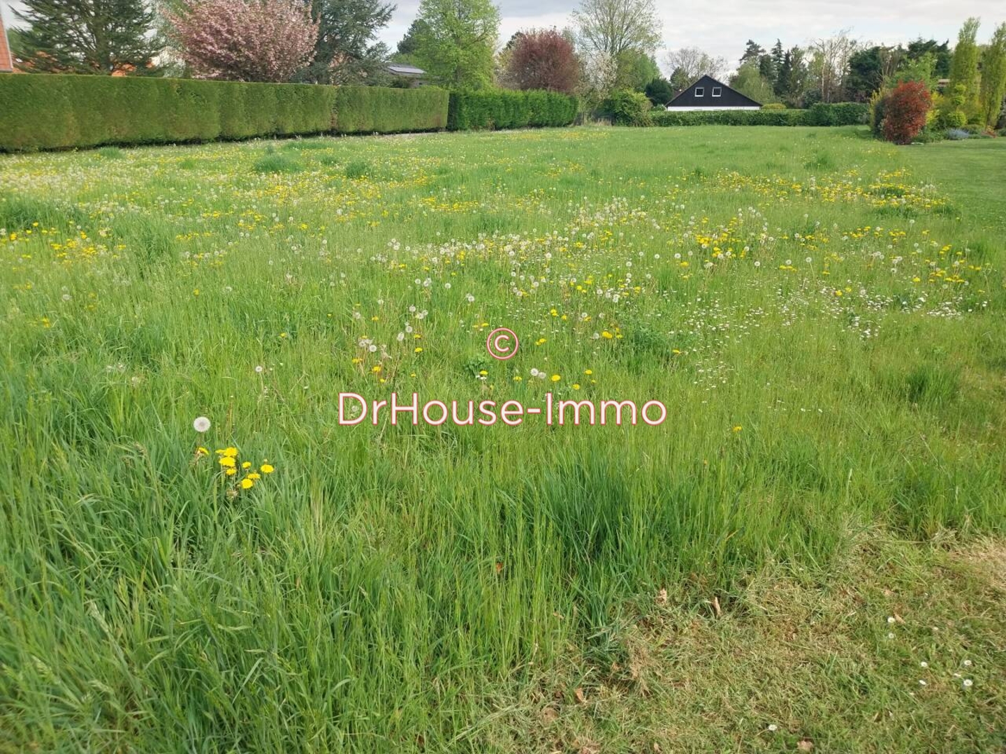 Terrain de 1 101 m² - Sainghin-en-Mélantois (59262)