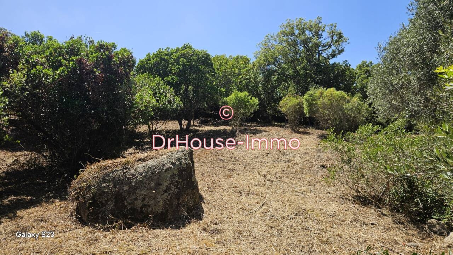 Terrain de 1 490 m² - Figari (20114)