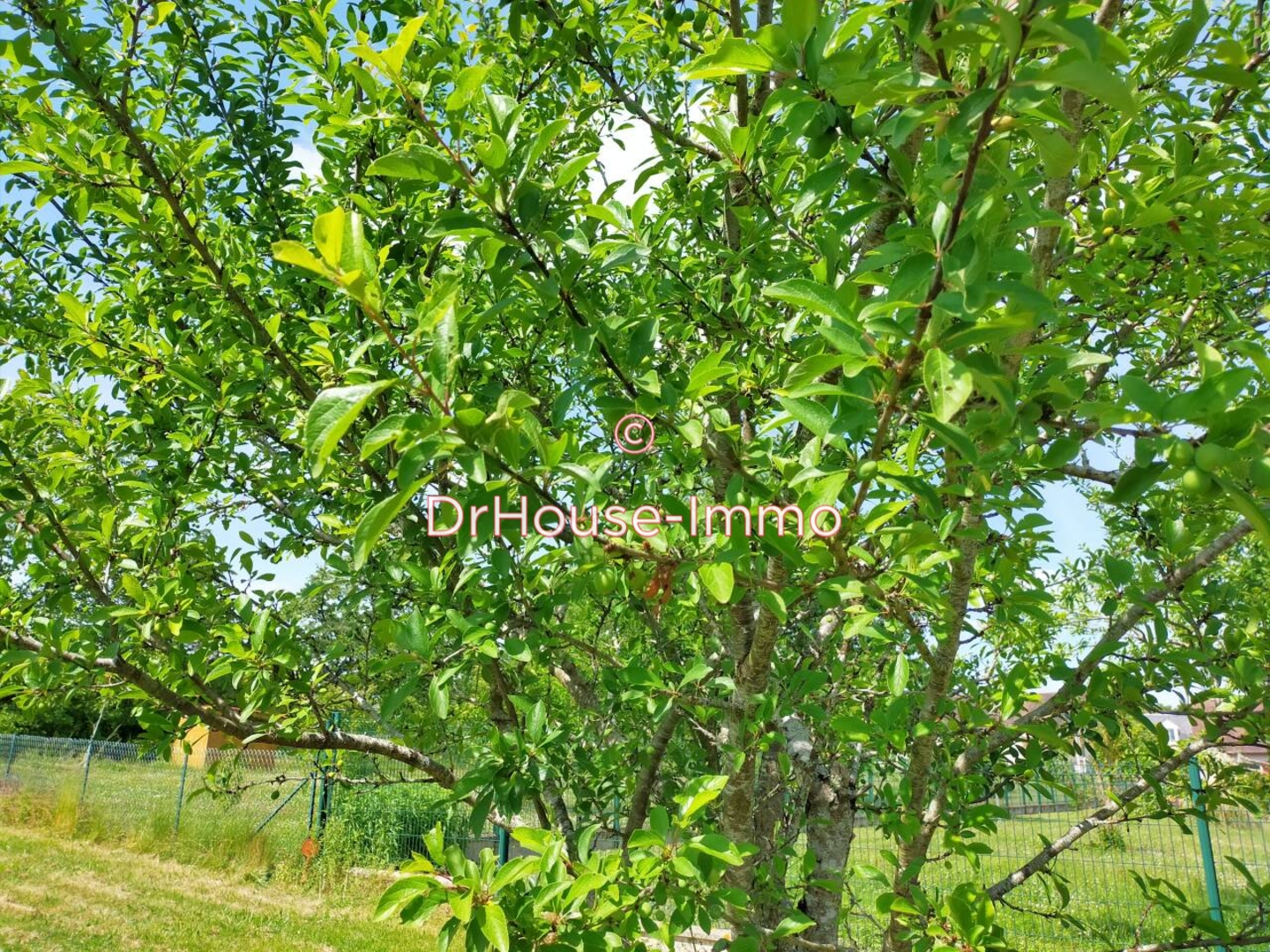 Terrain de 950 m² - La Roche-Posay (86270)