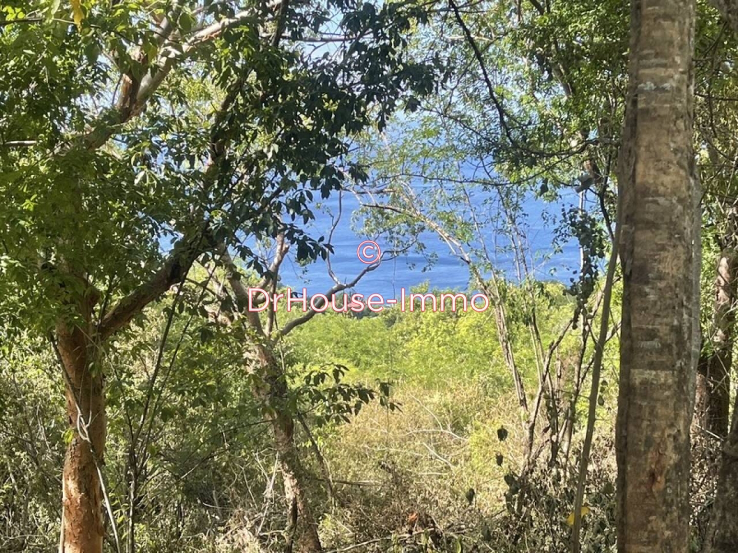 Terrain de 1 161 m² - Bouillante (97125)