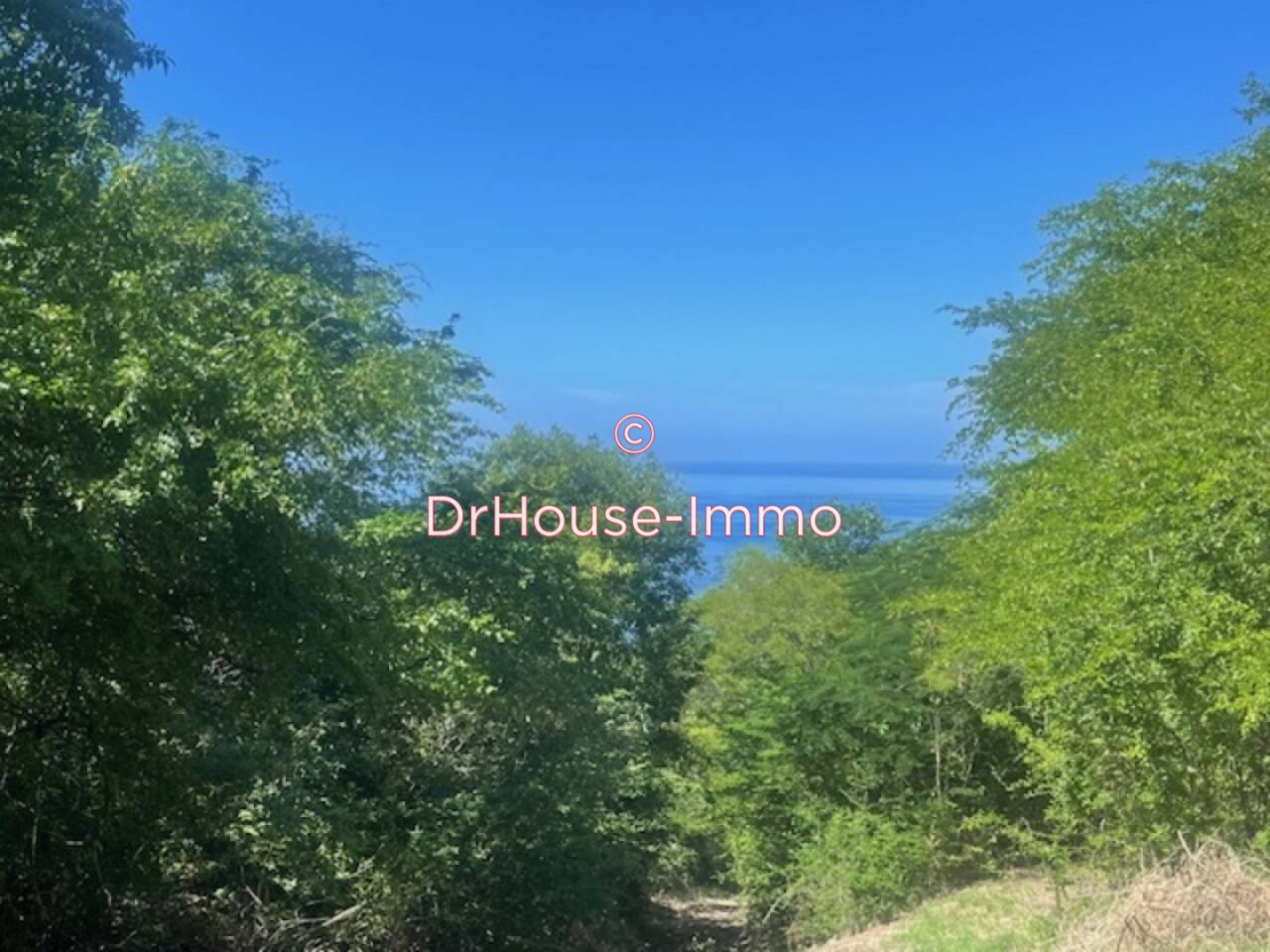 Terrain de 1 161 m² - Bouillante (97125)