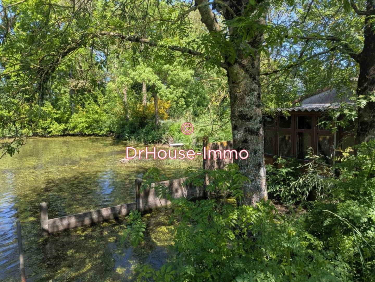 Maison 9 pièces de 182 m² - Montaigu-Vendée (85600)