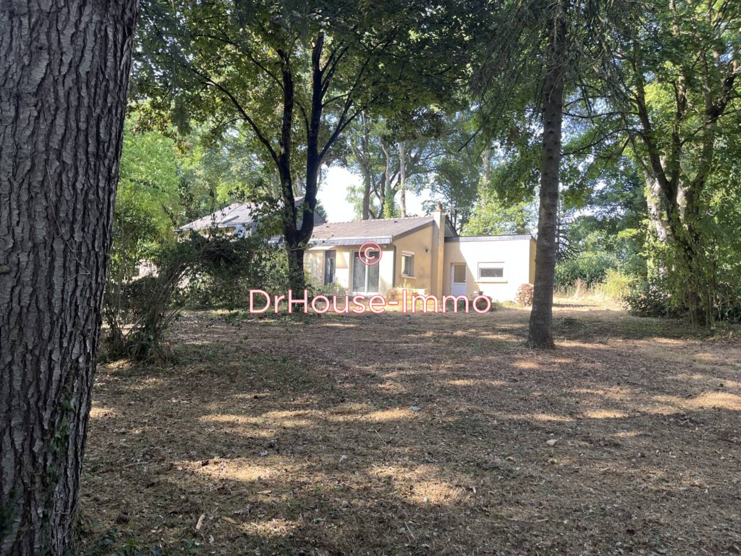 Maison 6 pièces de 137 m² - Soulaire-et-Bourg (49460)