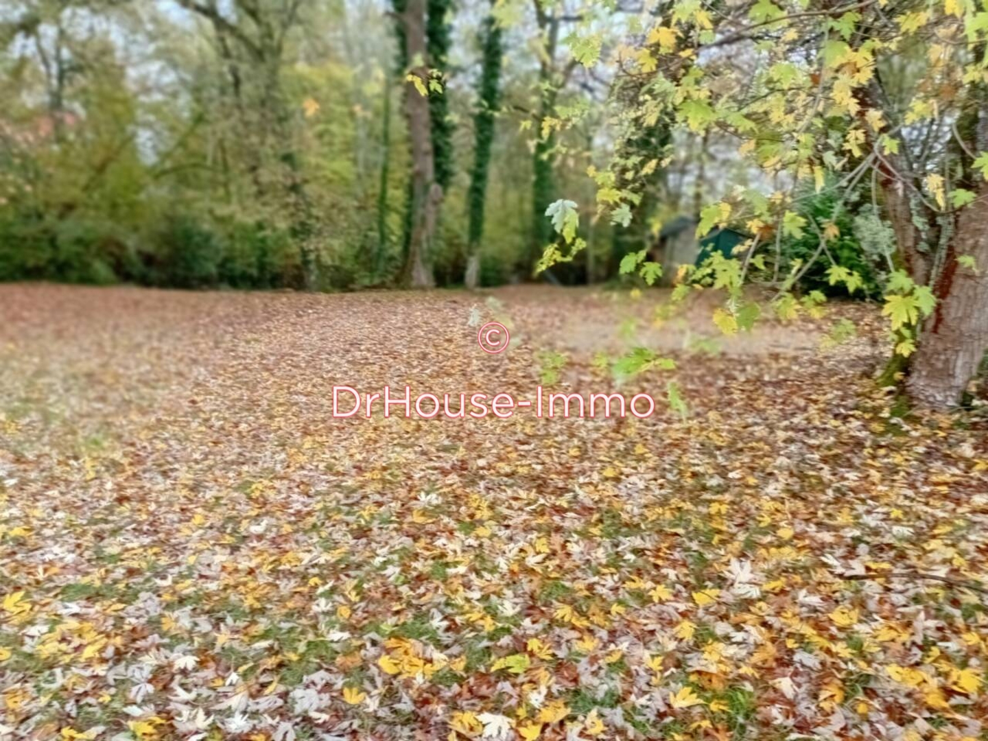 Terrain de 1 800 m² - Sadirac (33670)