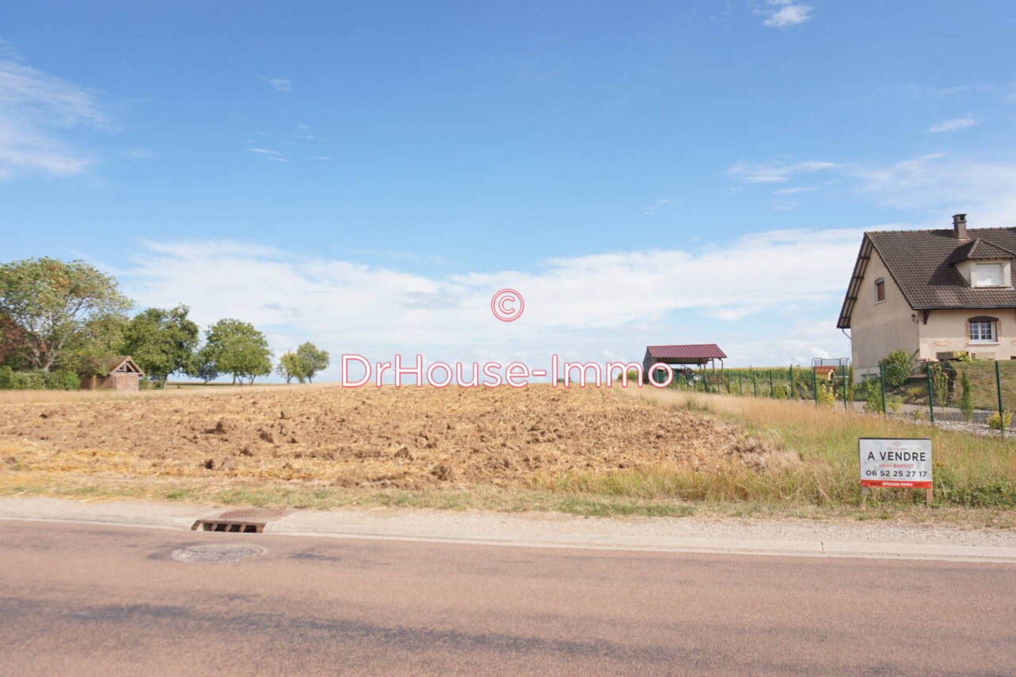 Terrain de 2 919 m² - Villemereuil (10800)