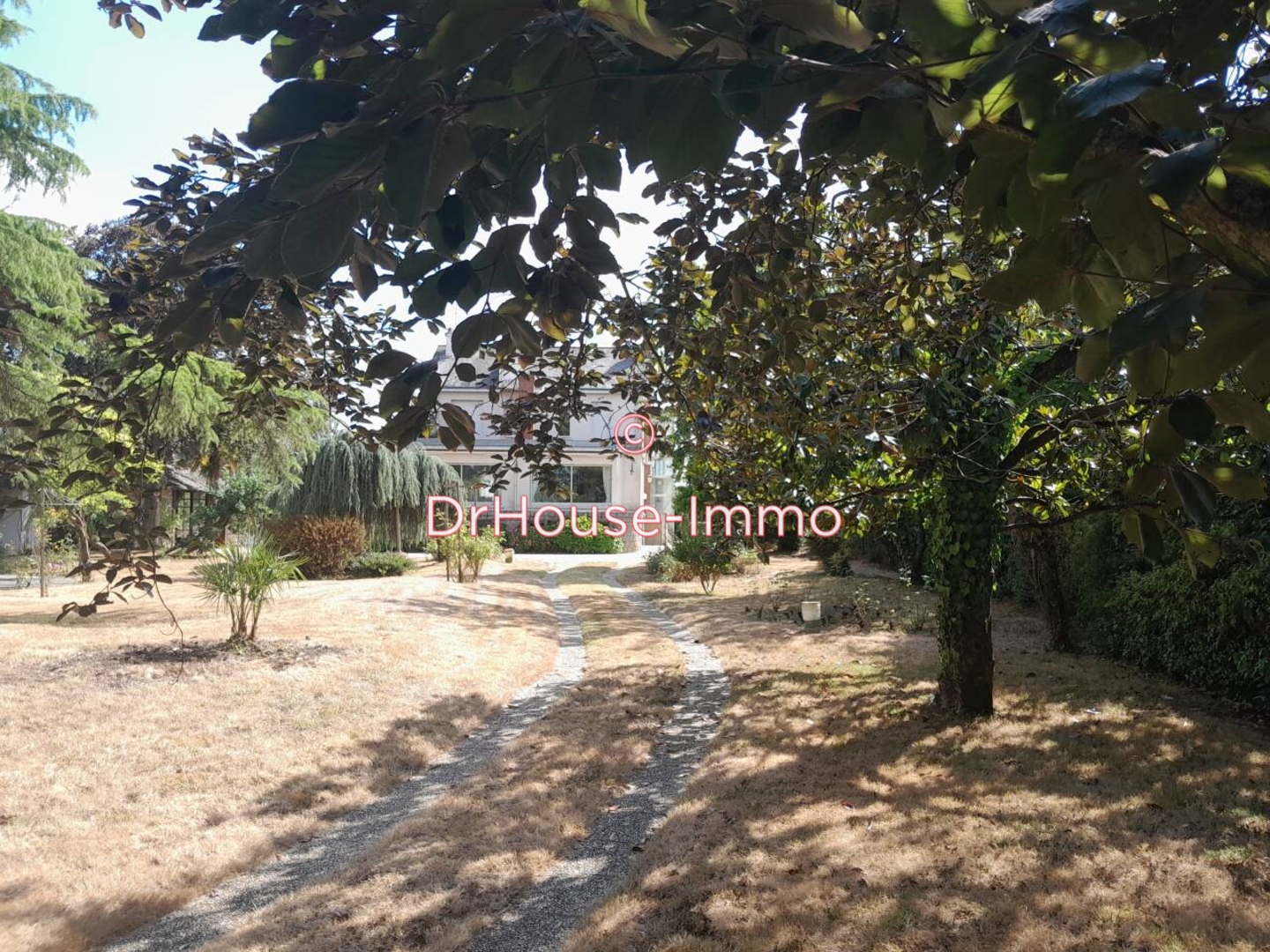 Maison 8 pièces de 232 m² - Ingrandes (49123)