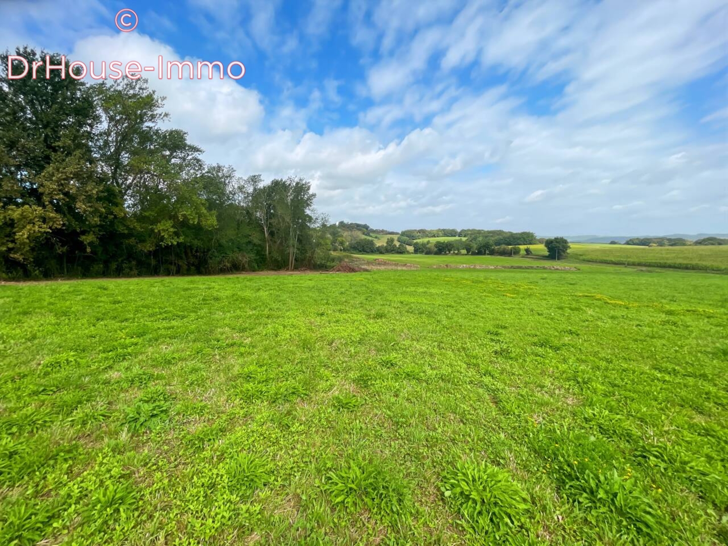 Photo 2 : Vente Terrain  Arancou 4300 m²