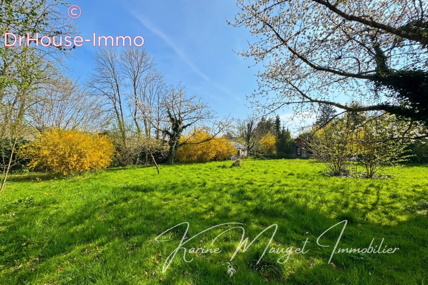 Photo 2 : Vente Terrain  Saint-Cyr-sur-Morin 539 m²