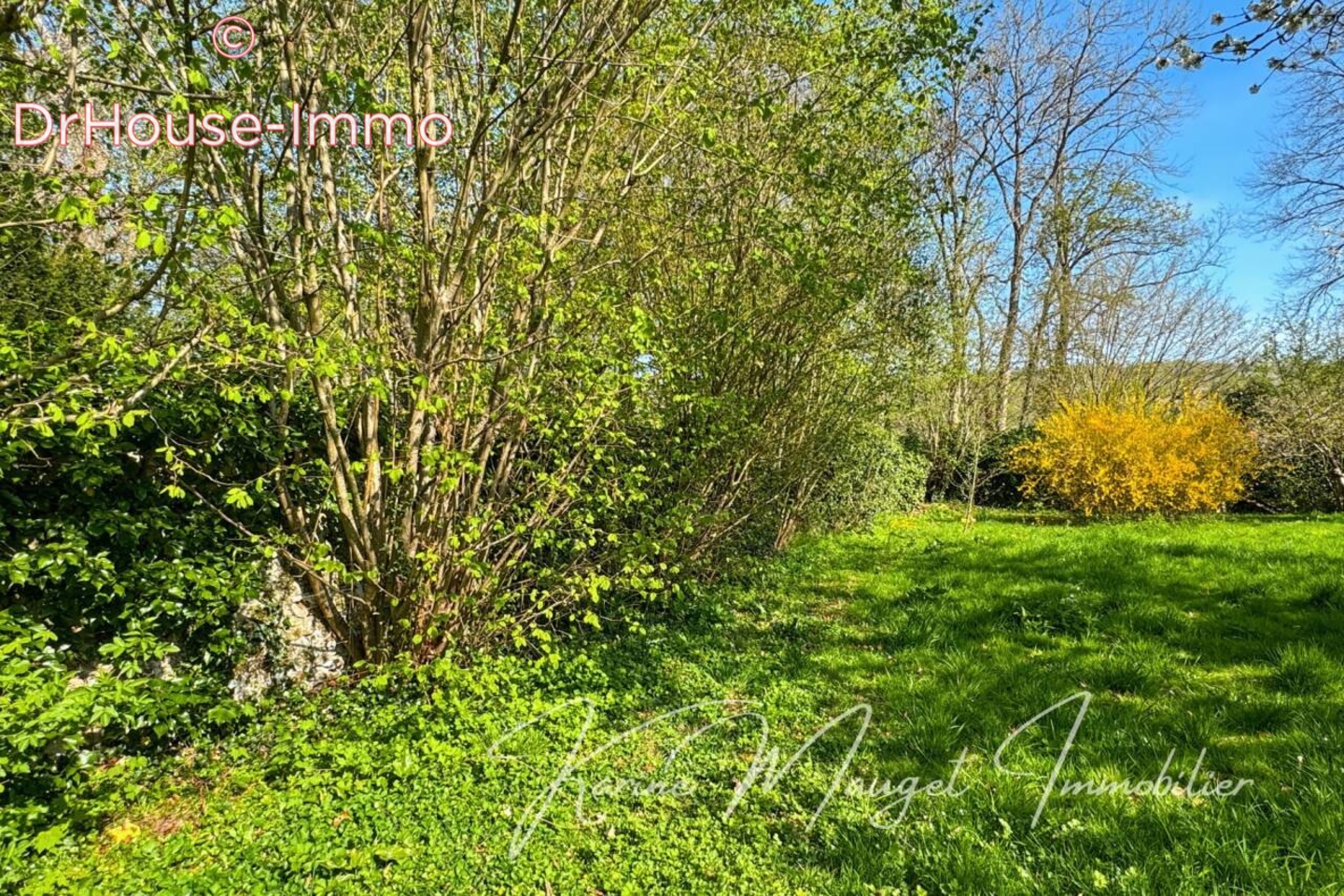 Photo 3 : Vente Terrain  Saint-Cyr-sur-Morin 539 m²