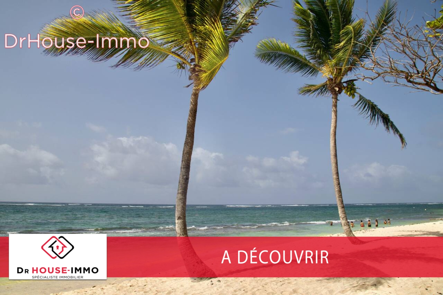 Photo 2 : Vente Terrain  Capesterre-Belle-Eau 178 m²