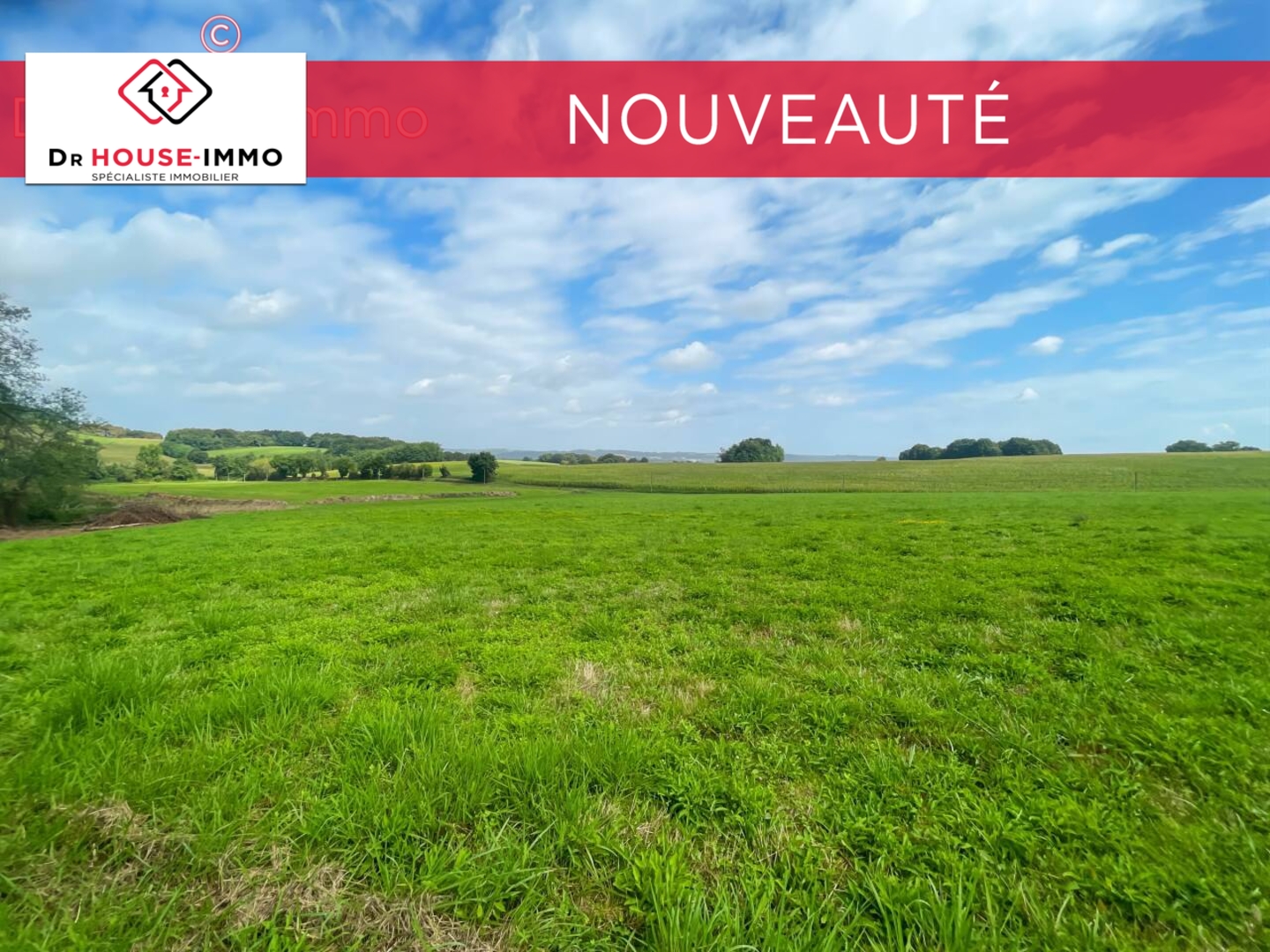 Photo 1 : Vente Terrain  Arancou 4300 m²