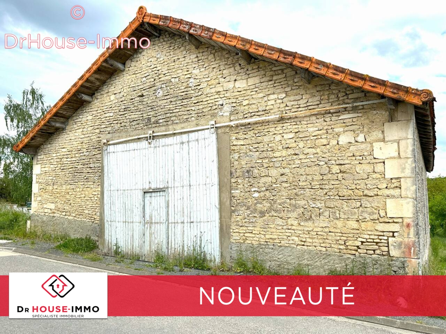 Photo 1 : Vente Grange Asnières-sur-Nouère 220 m²
