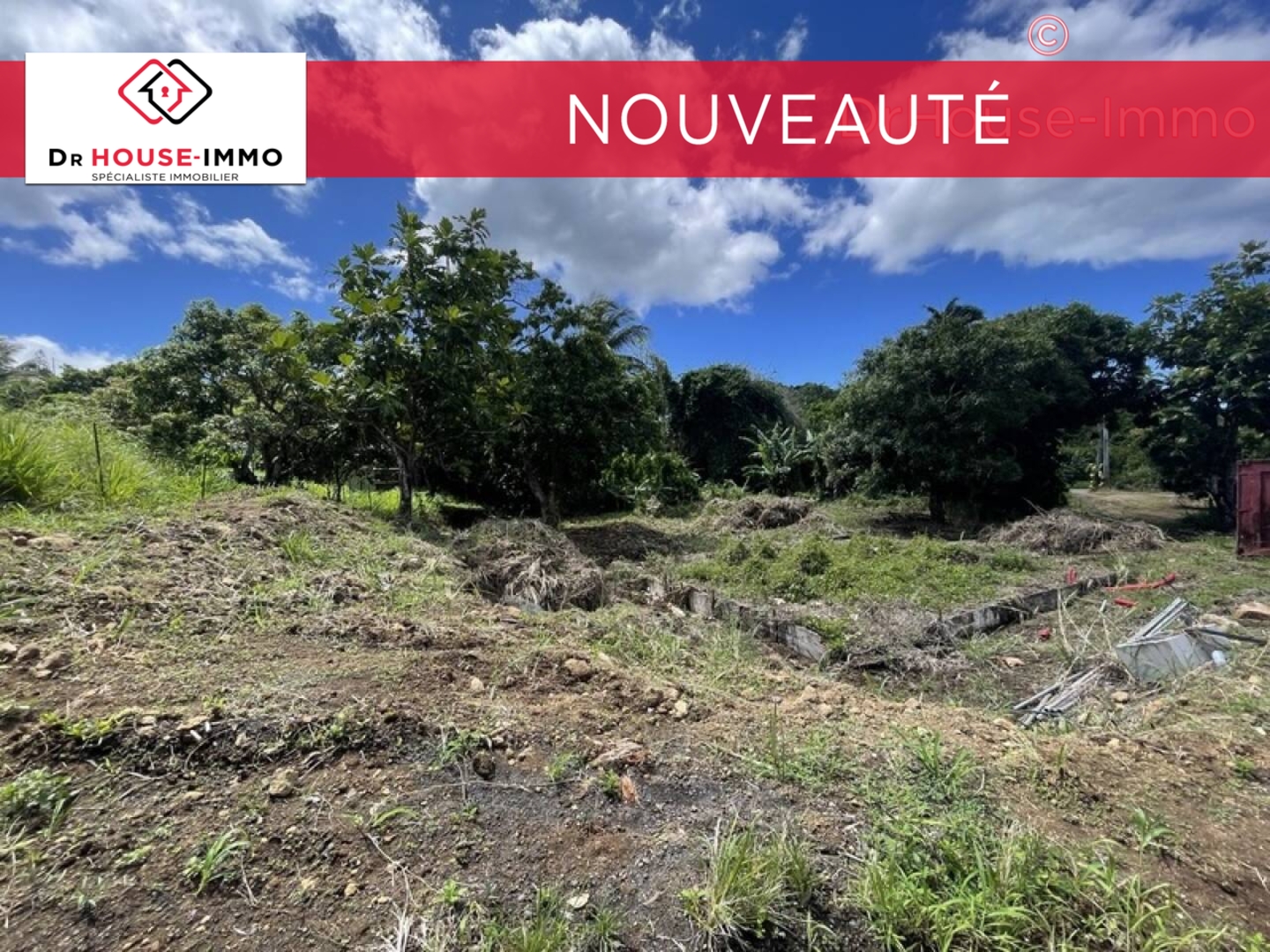Photo 2 : Vente Terrain Vieux-Habitants 800 m²