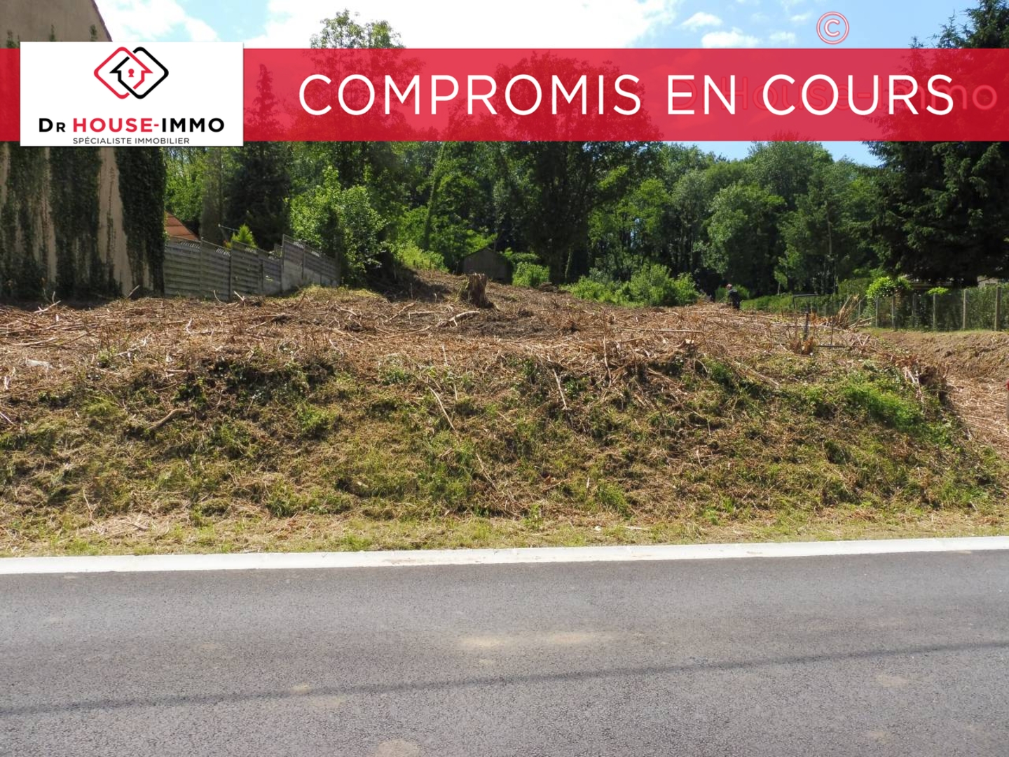 Photo 1 : Vente Terrain  Montreuil-aux-Lions 4279 m²