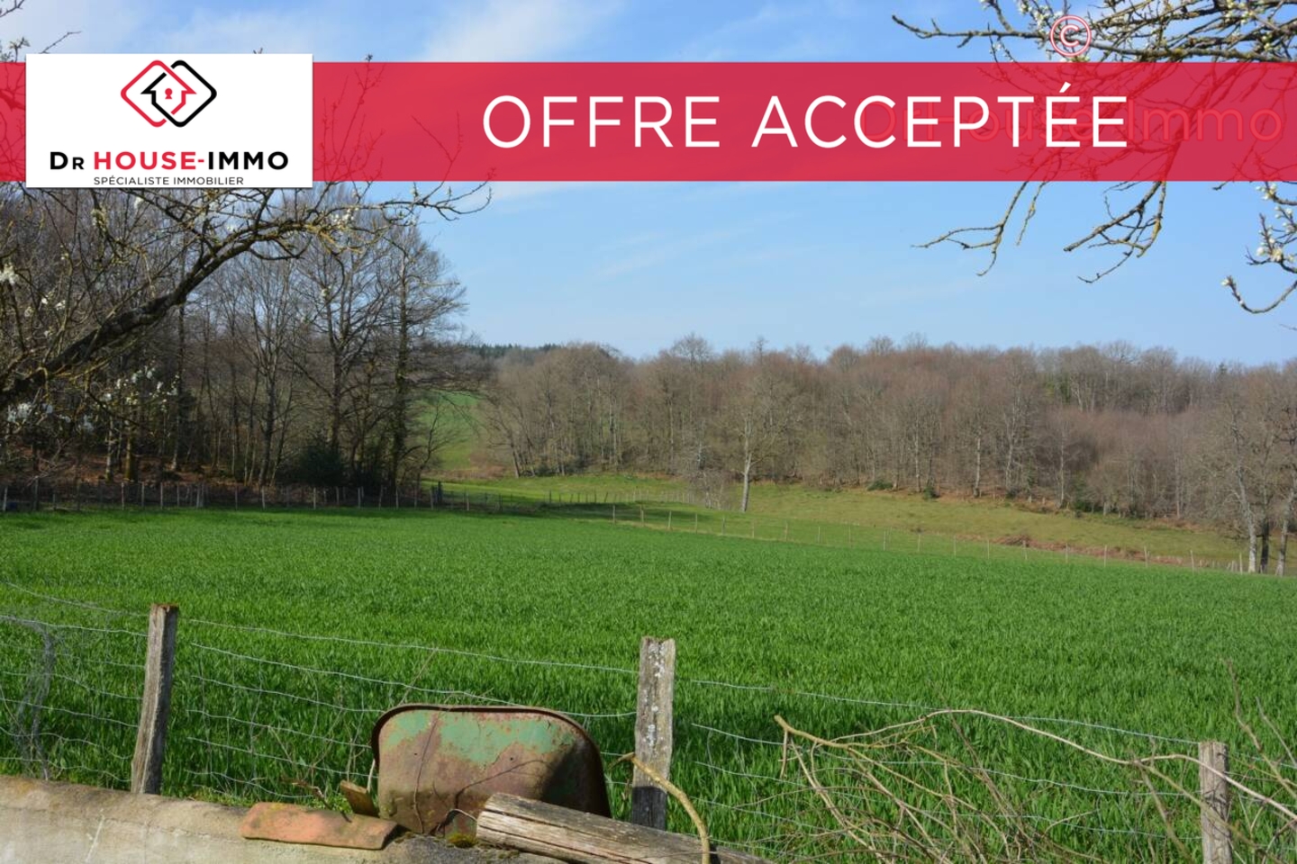 Photo 1 : Vente Terrain Champsac 99617 m²