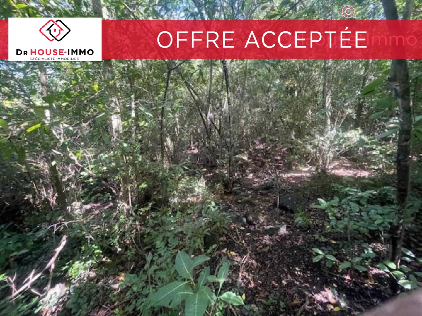 Photo 3 : Vente Terrain Bouillante 1162 m²