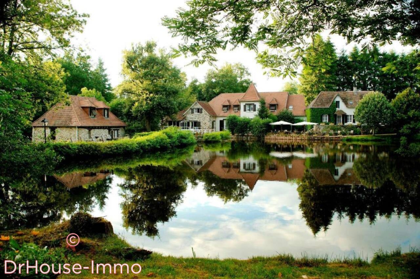 Photo 2 : Vente Maison 20 pièces Saint-Yrieix-la-Perche 675 m²