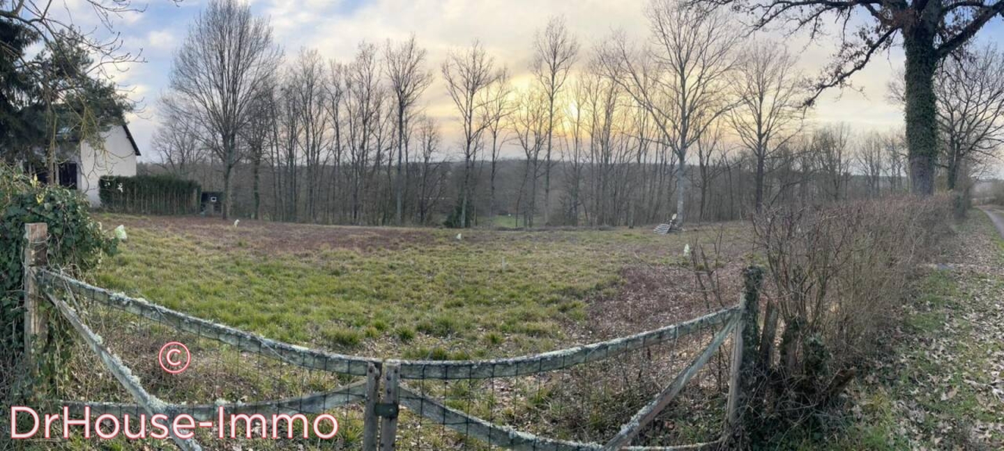 Photo 2 : Vente Terrain Montbouy 2894 m²