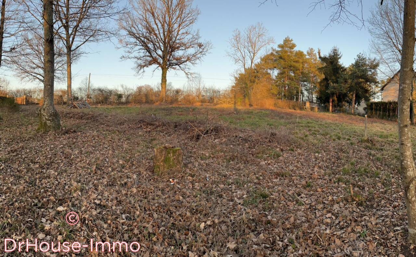 Photo 3 : Vente Terrain Montbouy 2894 m²