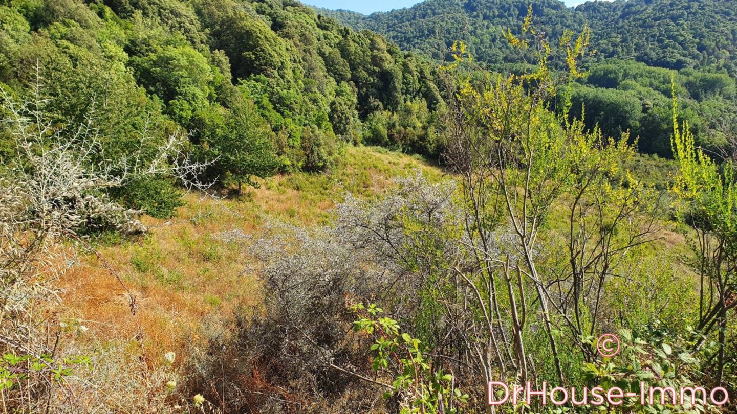 Photo 2 : Vente Terrain  Grosseto-Prugna 39548 m²