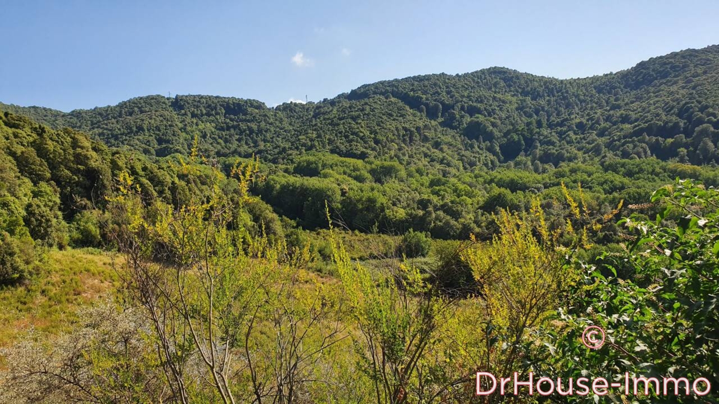 Photo 3 : Vente Terrain  Grosseto-Prugna 39548 m²