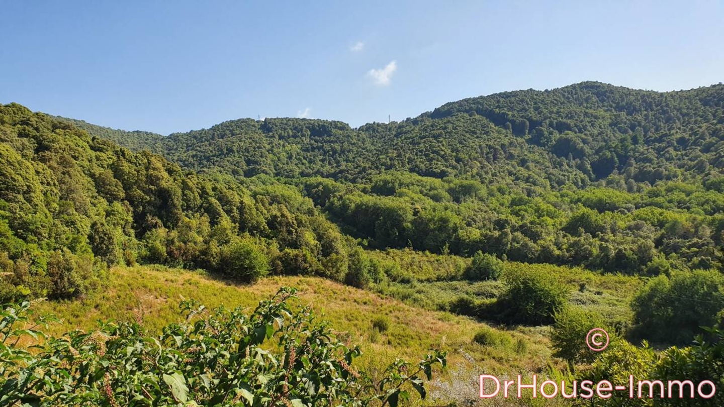 Photo 1 : Vente Terrain  Grosseto-Prugna 39548 m²