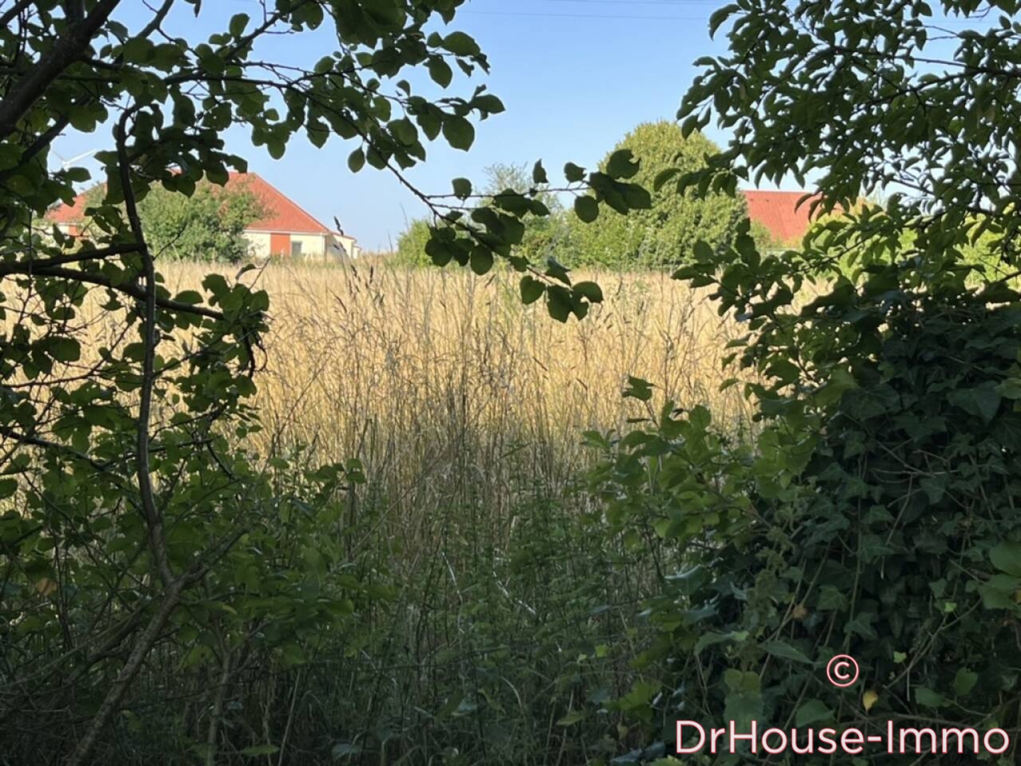 Photo 2 : Vente Terrain Savières 3887 m²
