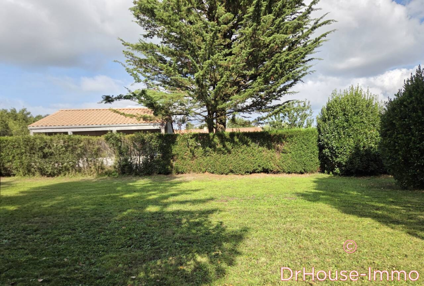 Photo 3 : Vente Terrain Chauvé 781 m²