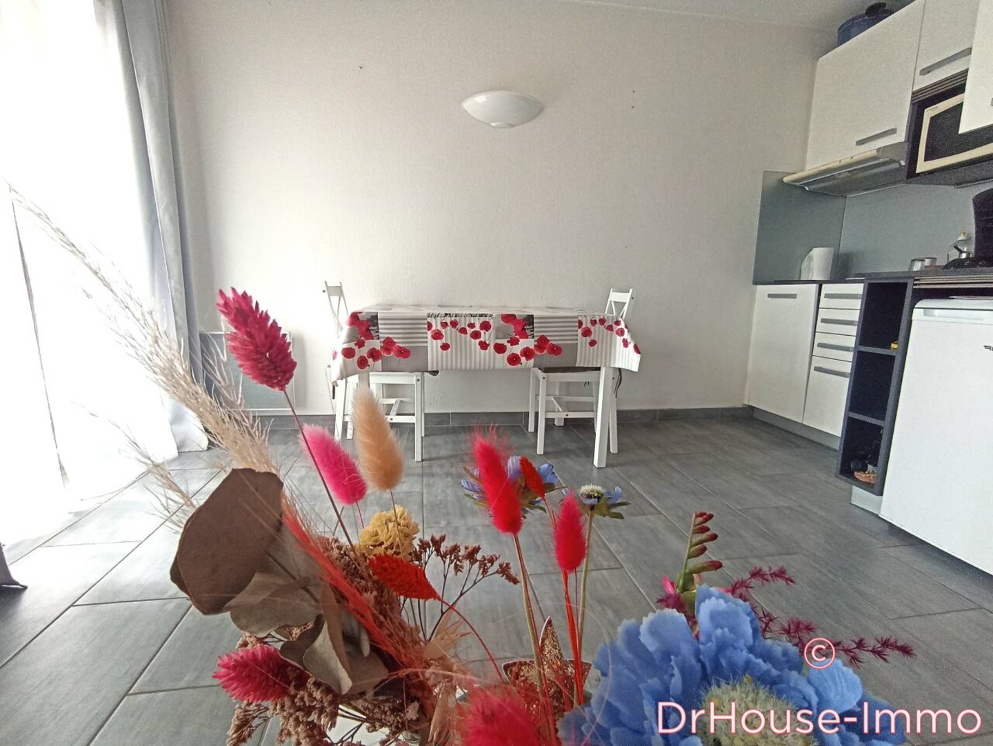 Photo 3 : Vente Appartement 1 pièce Cap d'Agde 24 m²
