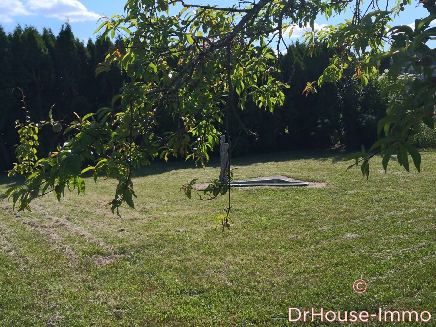 Photo 3 : Vente Maison 6 pièces Nuits-Saint-Georges 142 m²