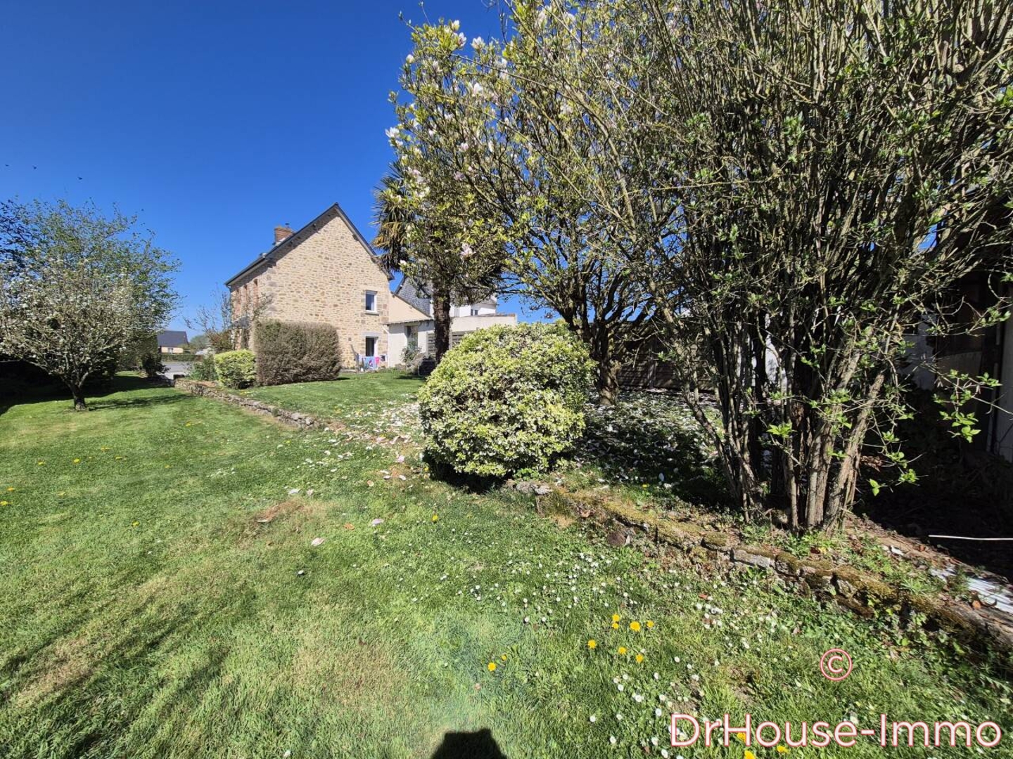 Photo 3 : Vente Maison 7 pièces Brécé 145 m²