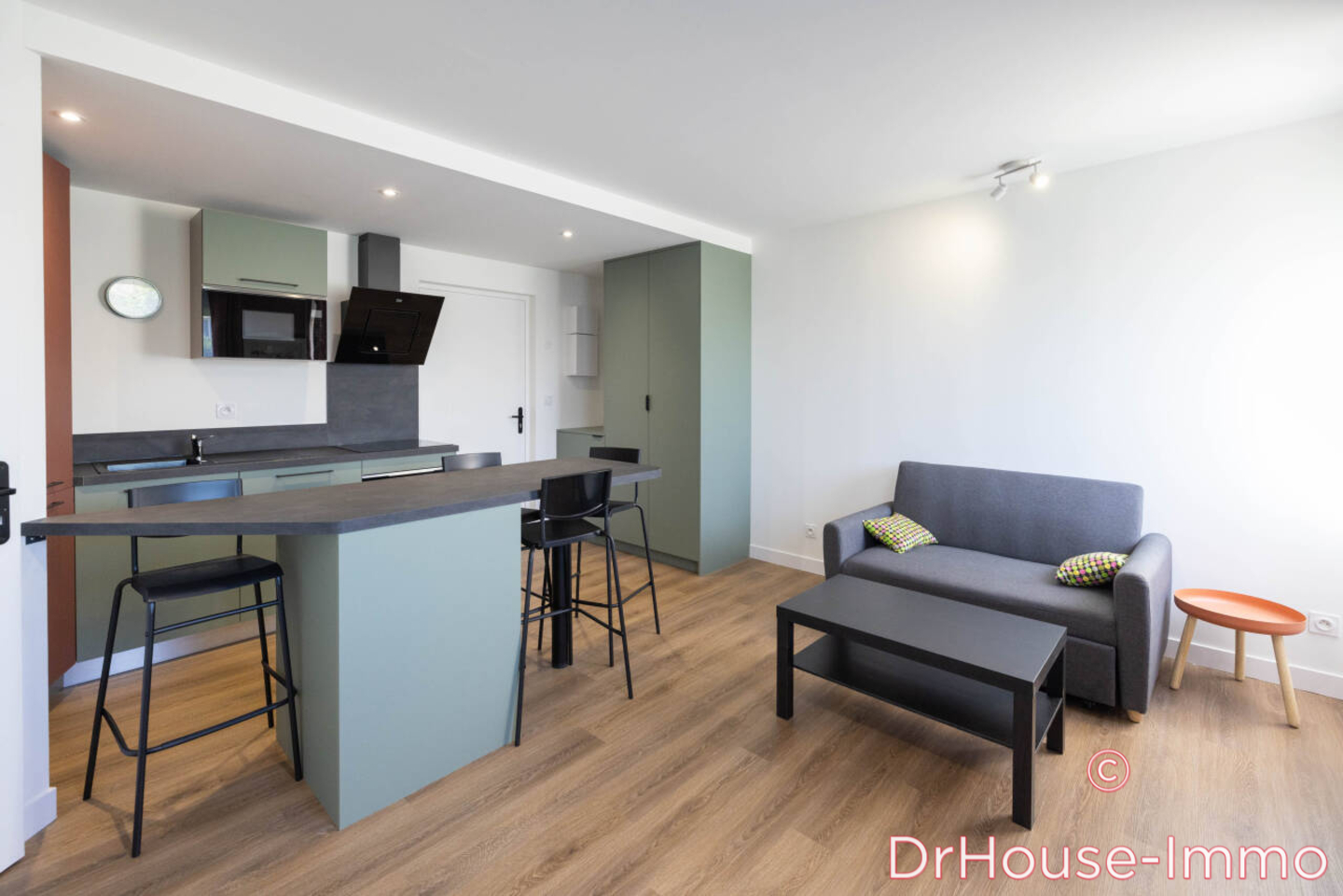 Photo 1 : Vente Appartement 4 pièces Orléans 85 m²