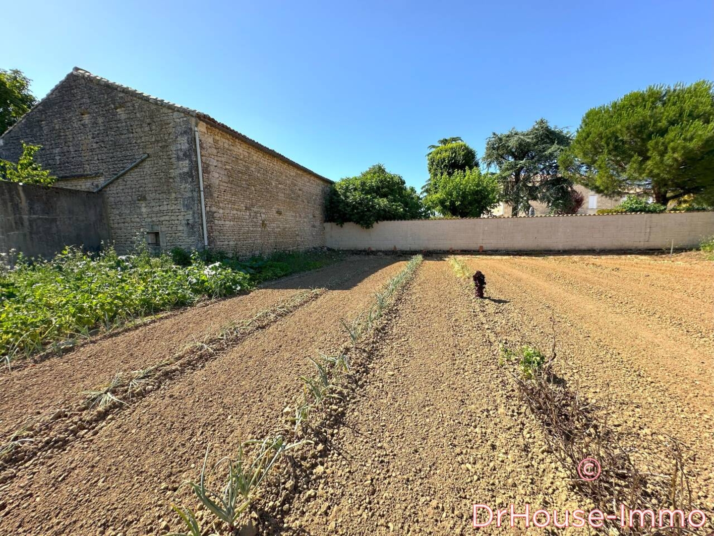 Photo 2 : Vente Terrain 1 pièce Vindelle 110 m²