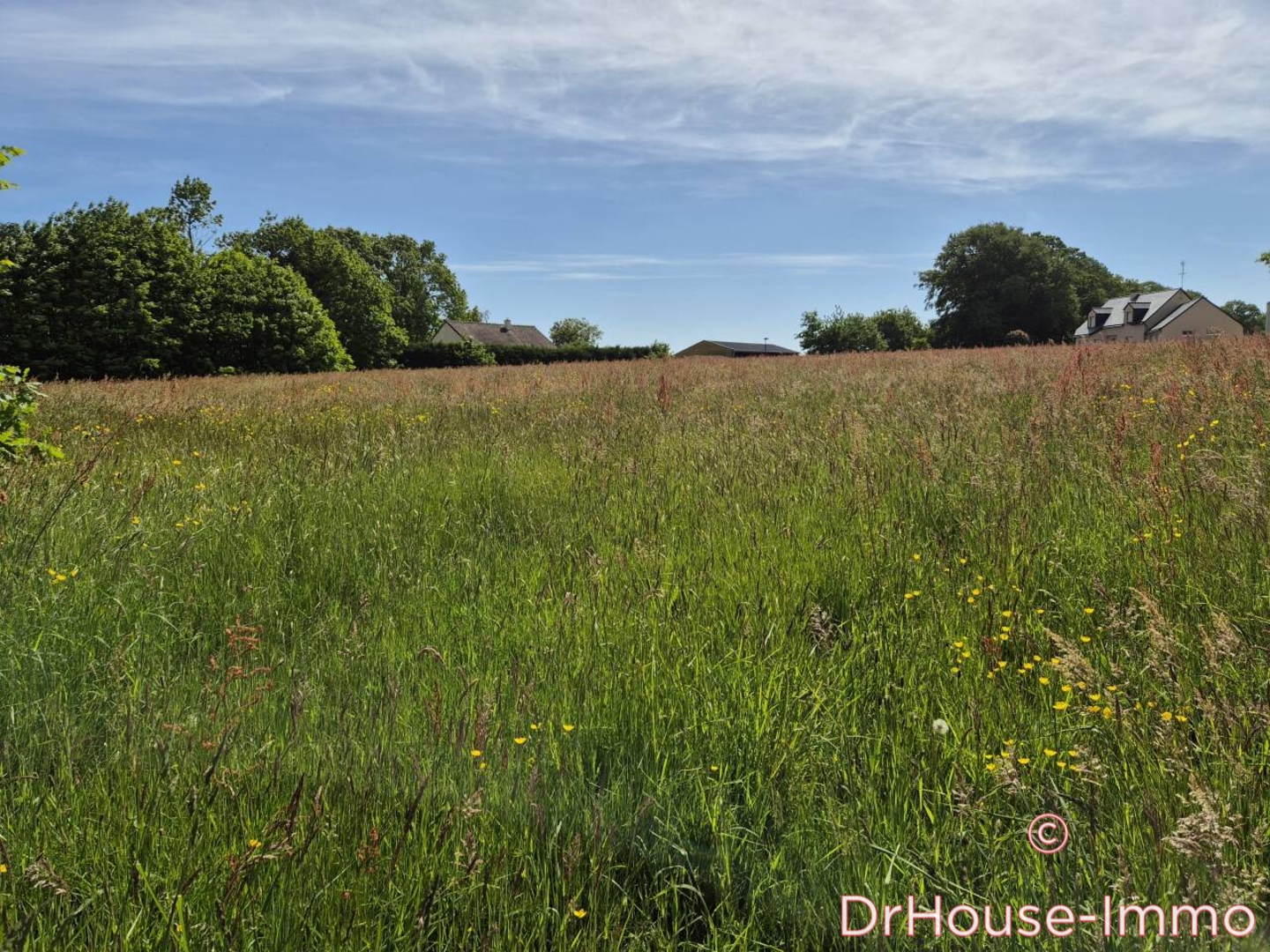 Photo 1 : Vente Terrain Gorron 4565 m²