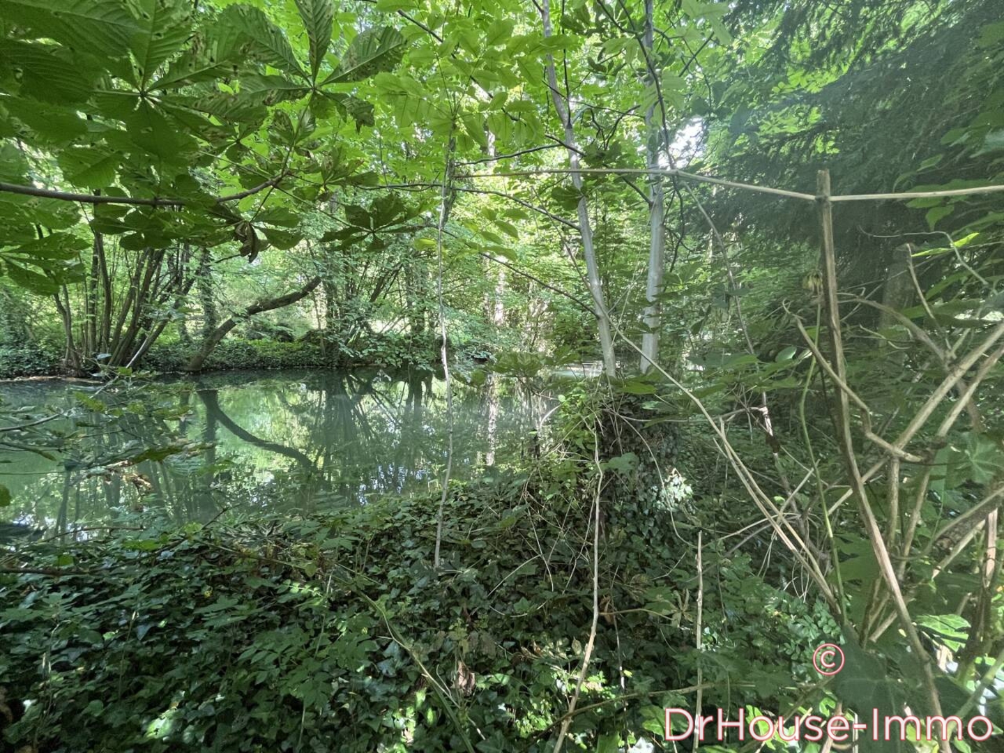 Photo 3 : Vente Maison 15 pièces Sainte-Maure 300 m²