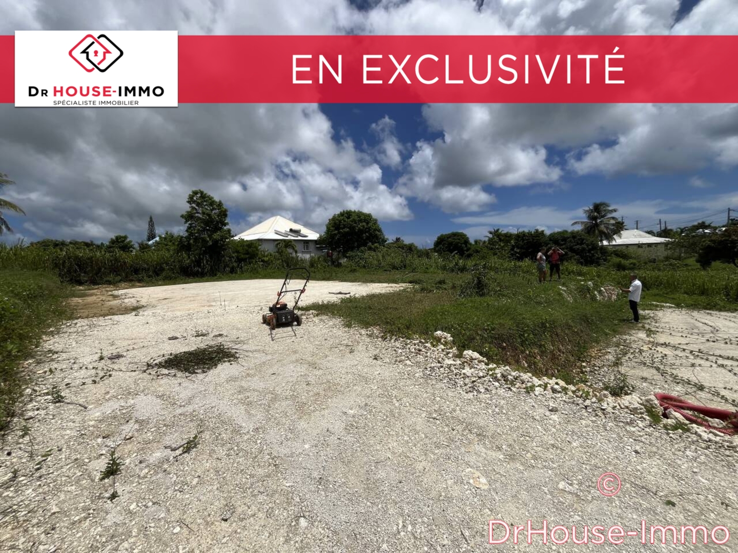 Image des la section Servies