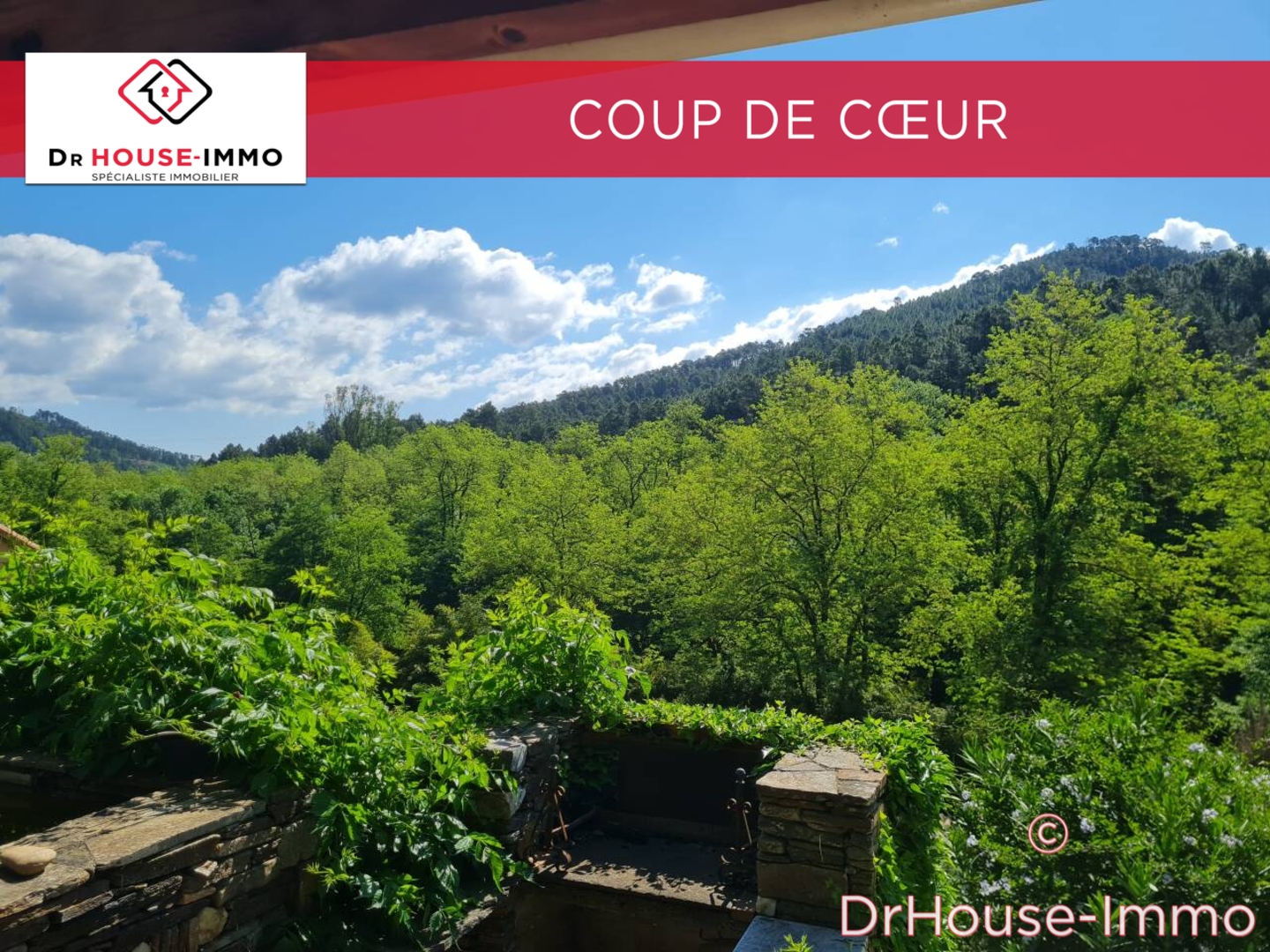 Photo 1 : Vente Maison 9 pièces Peyremale 180 m²