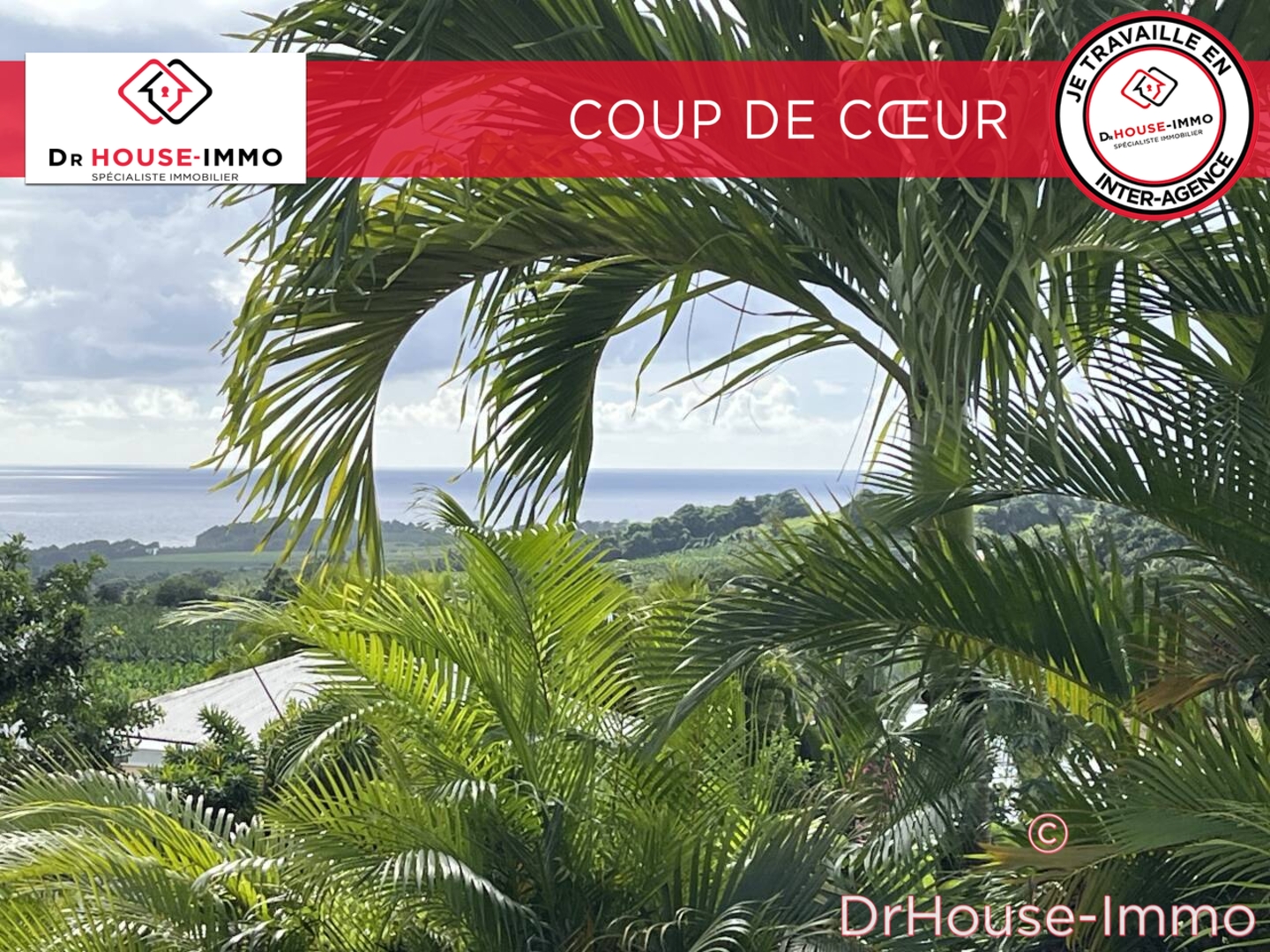 Photo 3 : Vente Maison 5 pièces Capesterre-Belle-Eau 85 m²