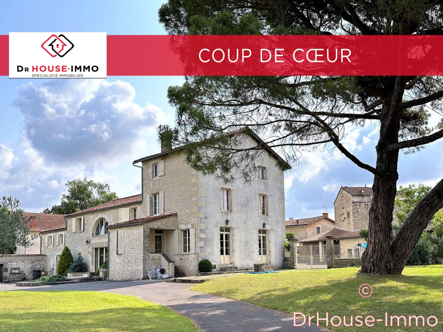 Photo 1 : Vente Maison 12 pièces Mansle 368 m²