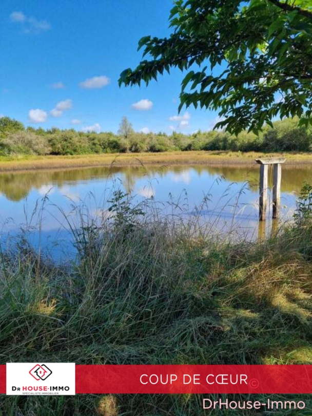Photo 1 : Vente Terrain Tendu 124000 m²