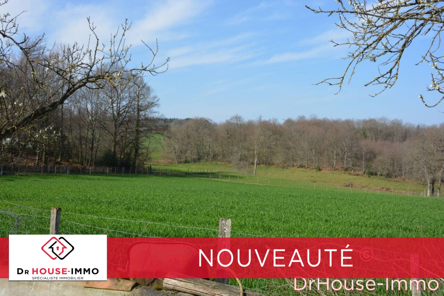 Photo 1 : Vente Terrain Champsac 99617 m²