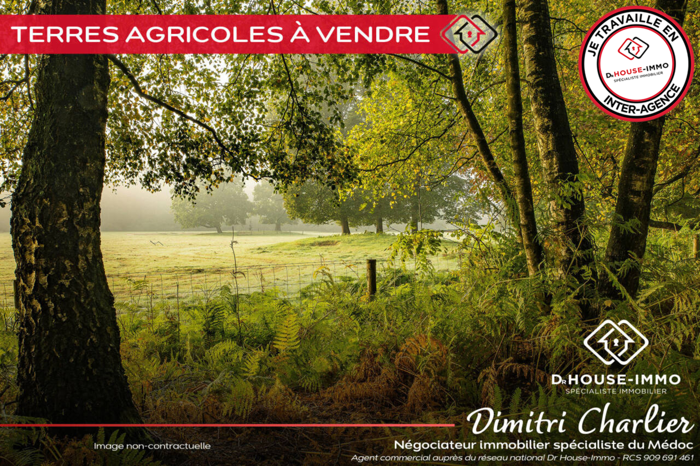Photo 1 : Vente Terrain Saint-Vivien-de-Médoc 40000 m²