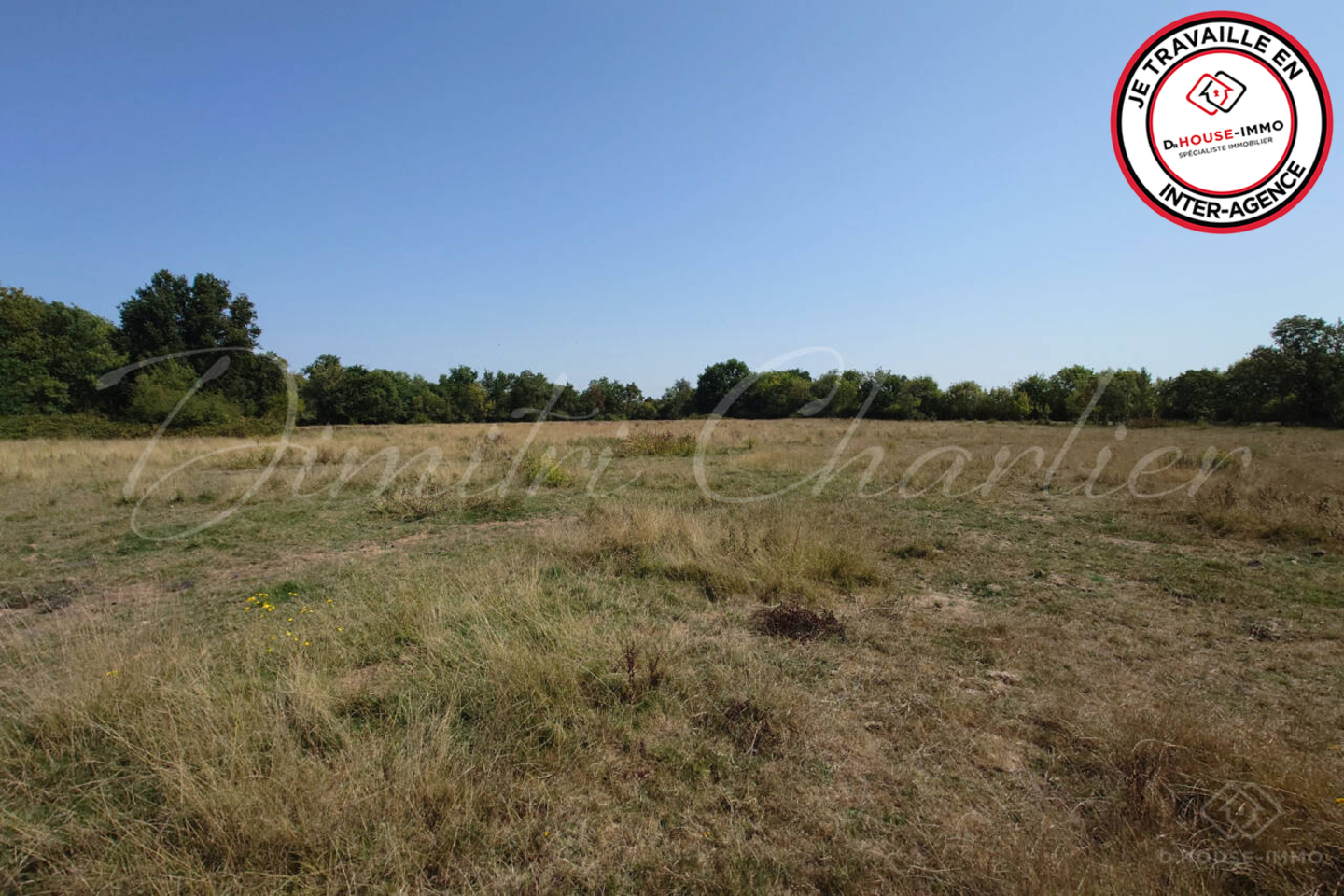 Photo 3 : Vente Terrain Saint-Vivien-de-Médoc 40000 m²