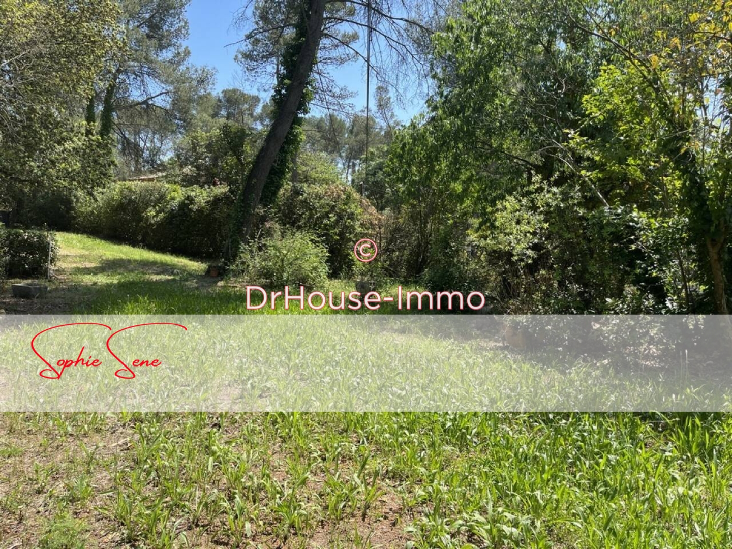 Photo 1 : Vente Terrain Montferrier-sur-Lez 962 m²