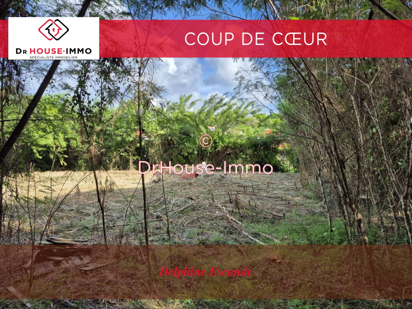 Image des la section Servies