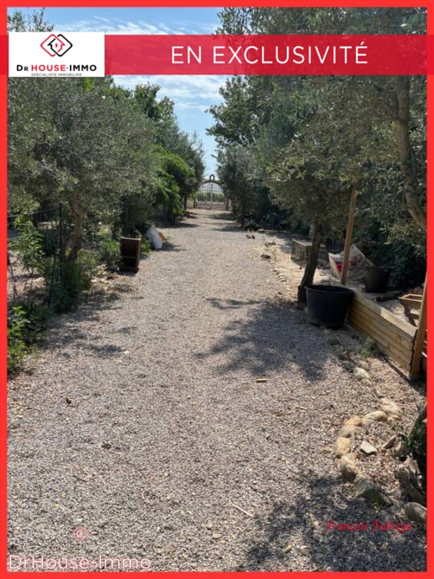 Photo 1 : Vente Autre 5 pièces Thuir 320 m²