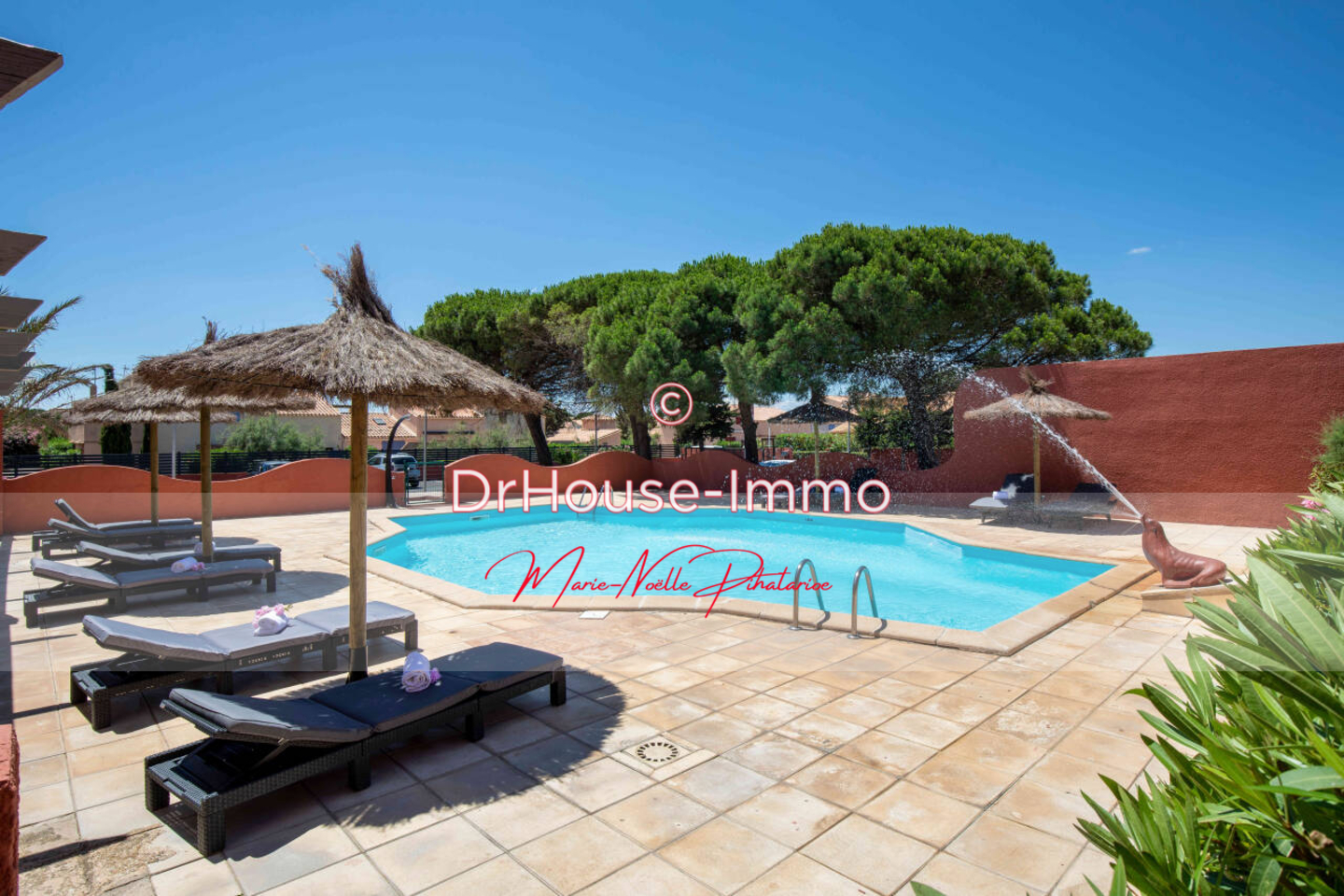 Photo 1 : Vente Autre 100 pièces Le Barcarès 2500 m²