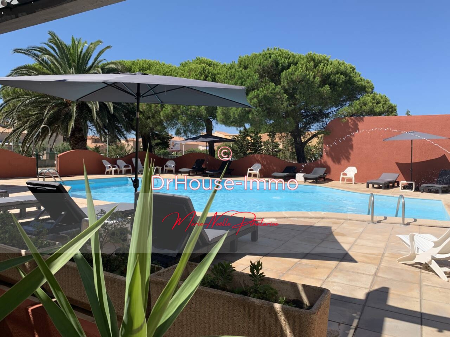 Photo 2 : Vente Autre 100 pièces Le Barcarès 2500 m²