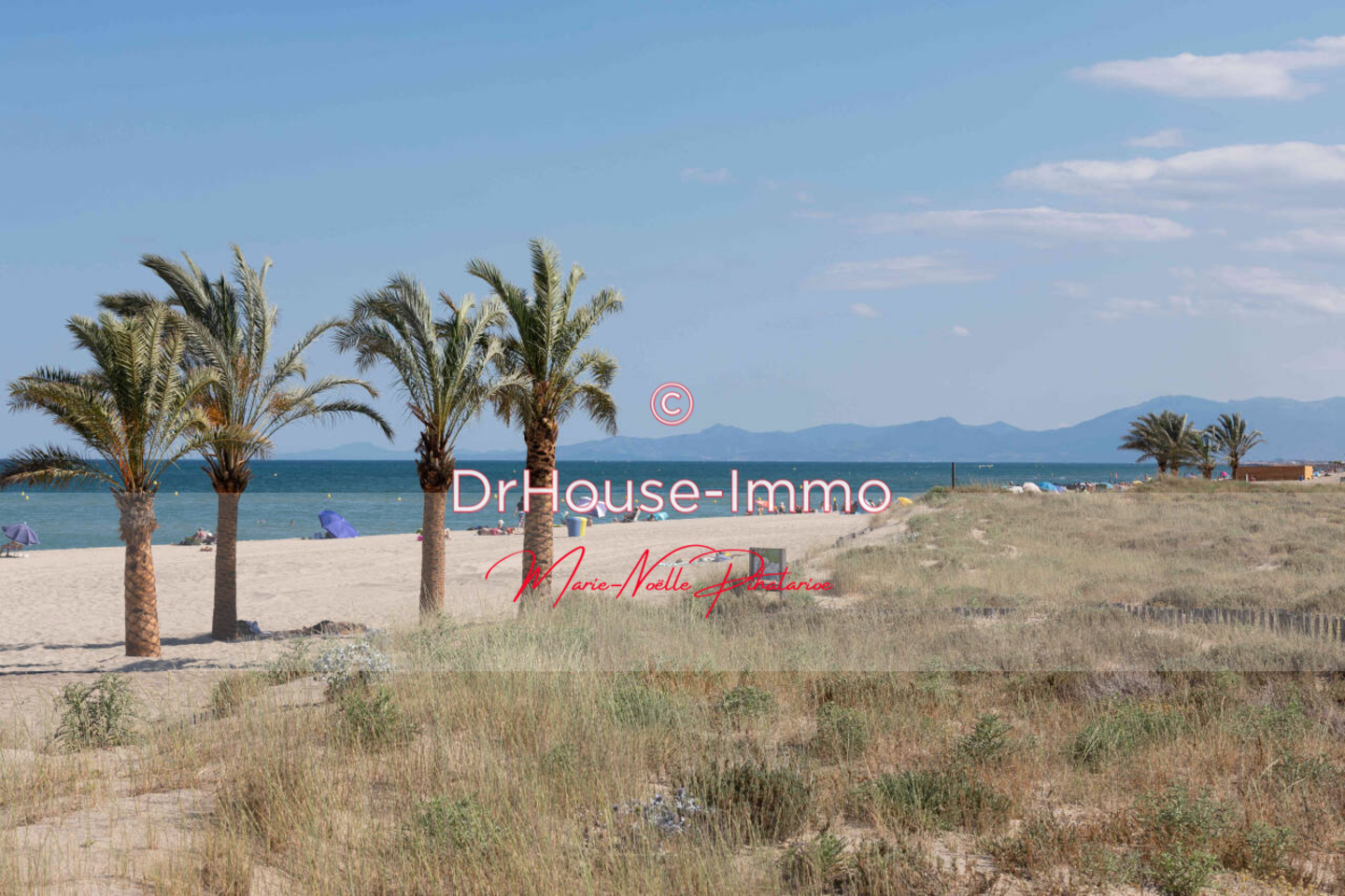 Photo 3 : Vente Autre 100 pièces Le Barcarès 2500 m²